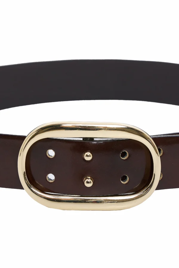 Vermouth Belt (Brown)/Hemithea ζώνη - Image 2