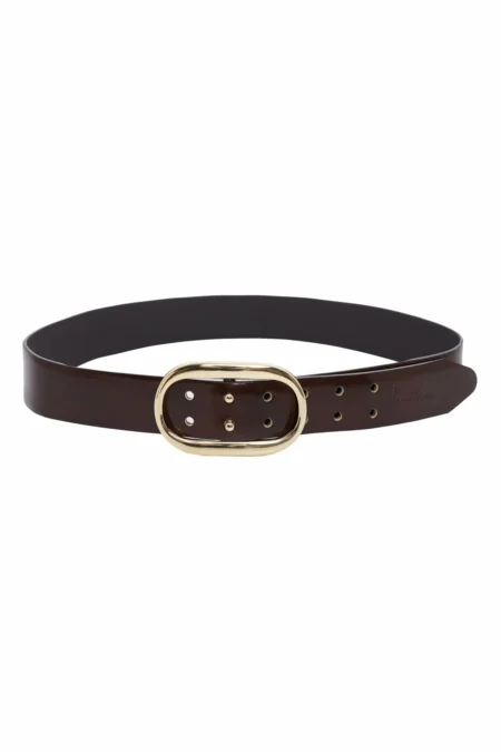 Vermouth Belt (Brown)/Hemithea ζώνη