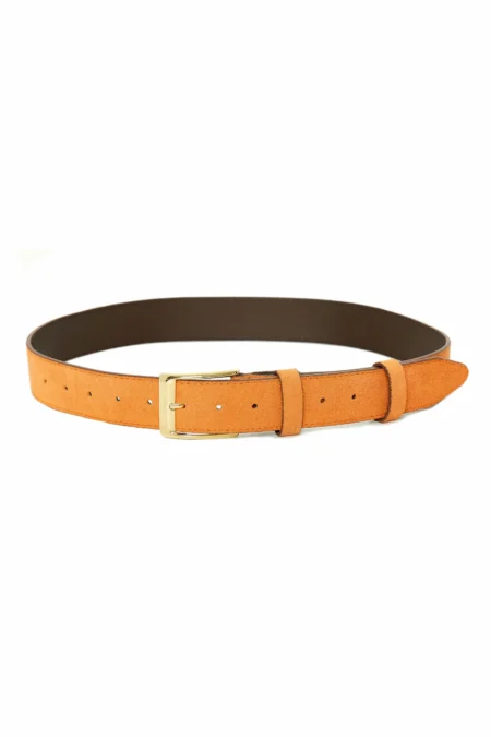 Cartoon belt (orange)/Hemithea ζώνη