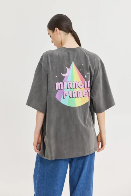 Cheetah Used Grey T-Shirt (Rainbow Floyd)/Hemithea t-shirt